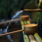 Natural spring with clean water near bamboo pipes and wooden dippers in summer park